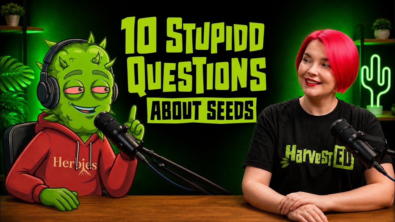 Herbie — Herbies Seeds