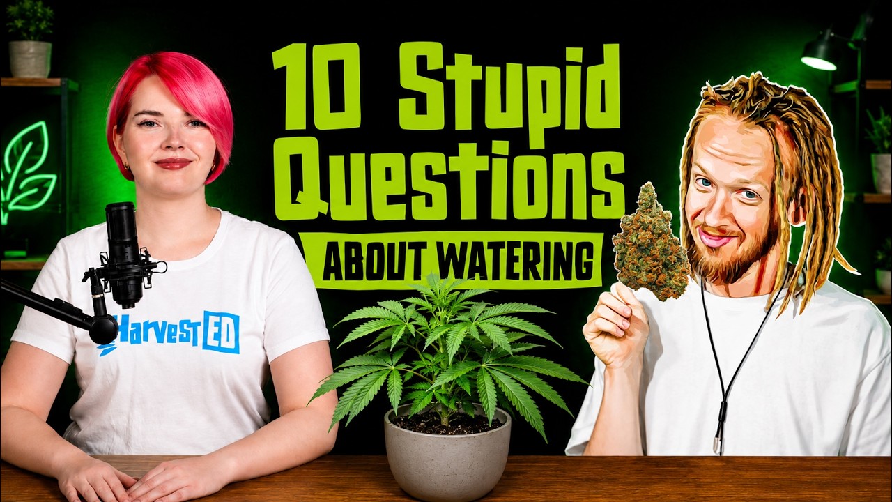 10 Stupid Questions About Watering with Matt from Strain Show